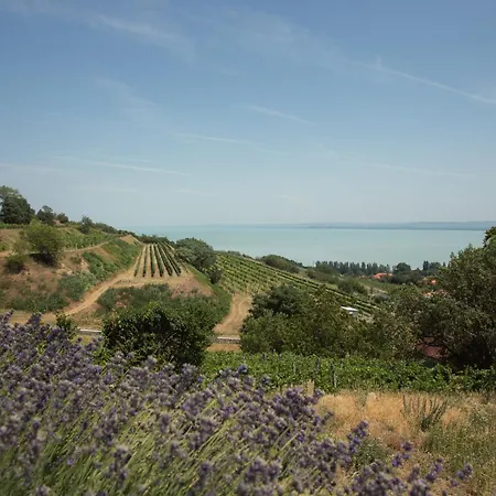 Appartement Kek Horizont Badacsony
